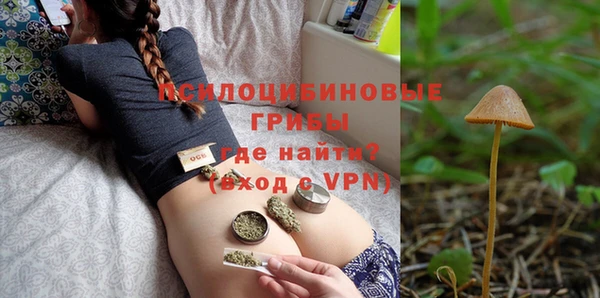 бошки Мегион