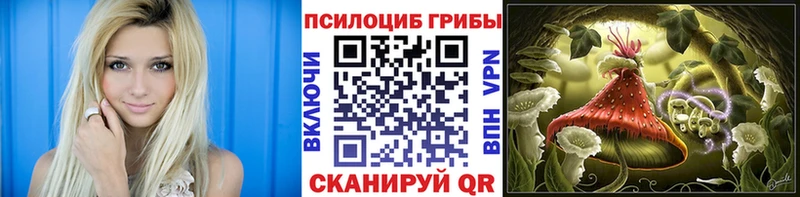 Галлюциногенные грибы Psilocybine cubensis  Купить  Омутнинск 